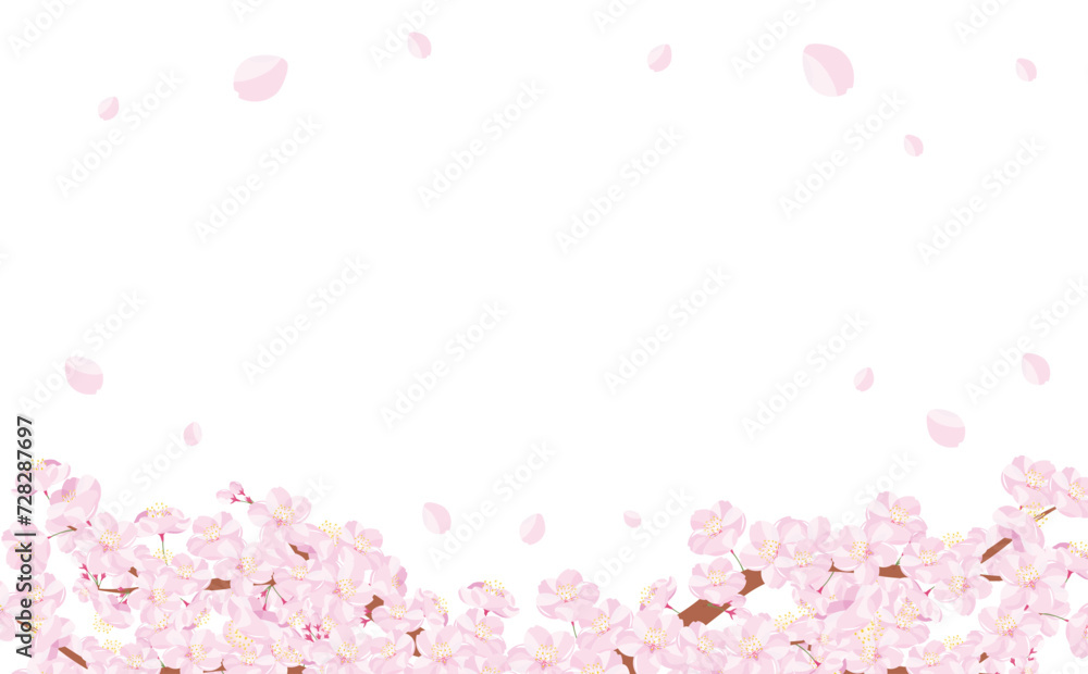 背景やタイトル・見出しに使えるシンプルな桜の木や枝・満開の桜吹雪を描いた余白のある春フレーム素材