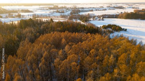 Rural winter landscape in Lithuania