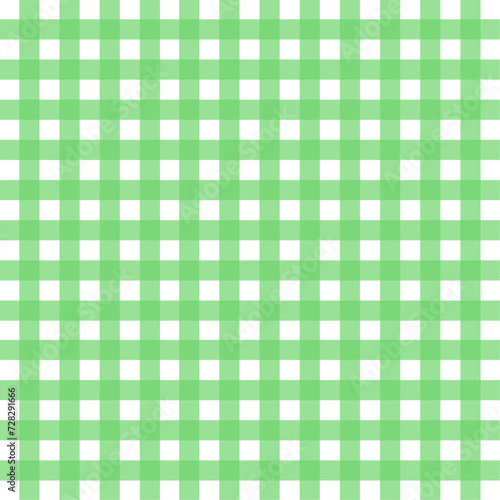 vector green and white gingham pattern