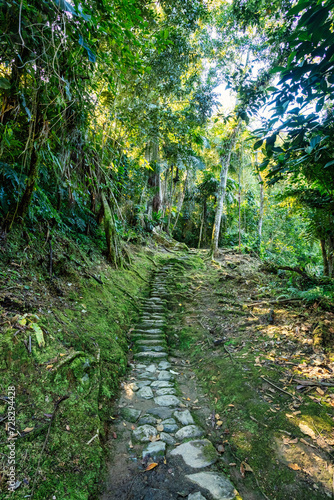 Hidden ancient ruins of Tayrona civilization Ciudad Perdida in the heart of the Colombian jungle Lost city of Teyuna. Santa Marta, Sierra Nevada mountains, Colombia wilderness