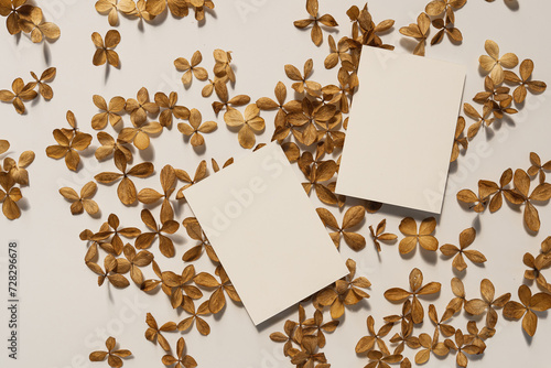 Paper sheet cards with blank mockup copy space and dried star flower petals on white background