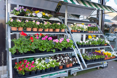 A street flower shop with bright flowers in pots on the shelves.