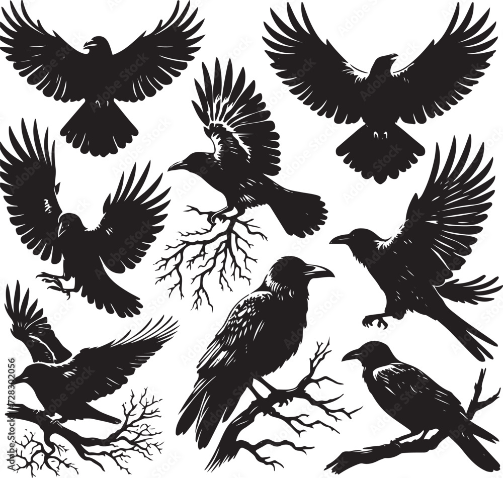 Black crow silhouette vector