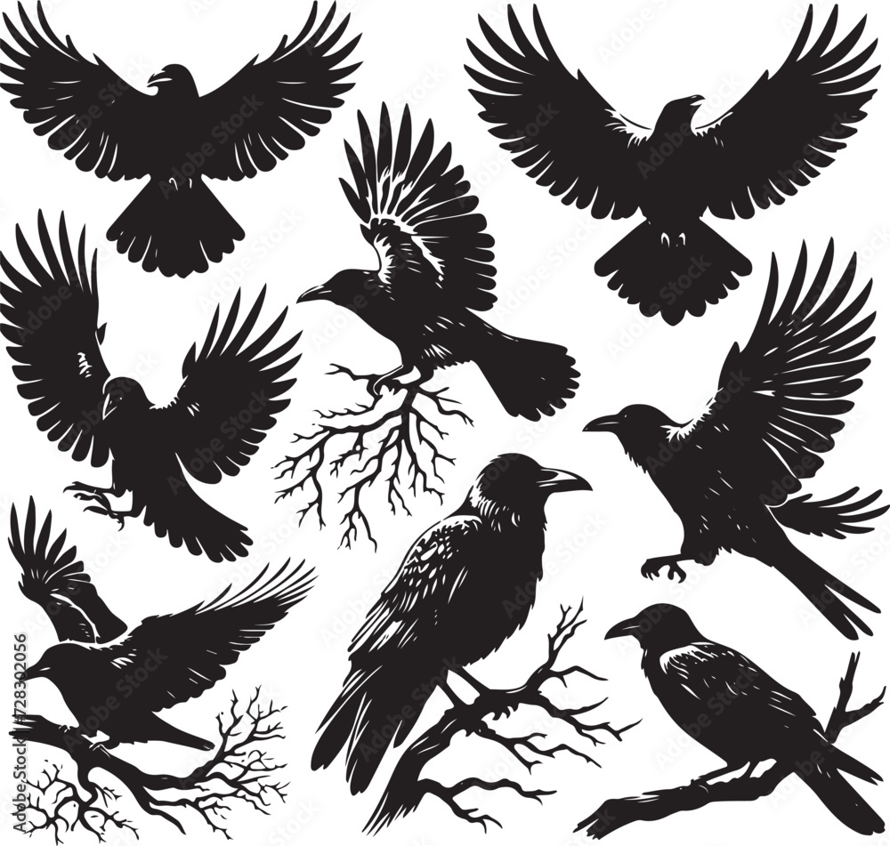 Fototapeta premium Black crow silhouette vector