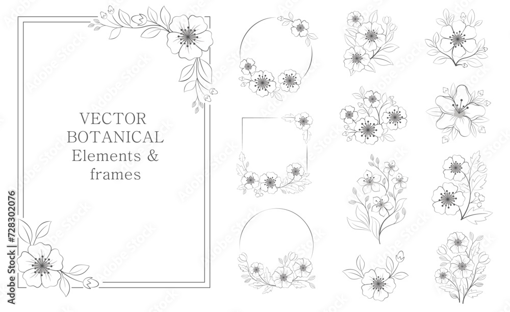 Vector set of botanical elements and frames in round, square. Black illustrations for banner