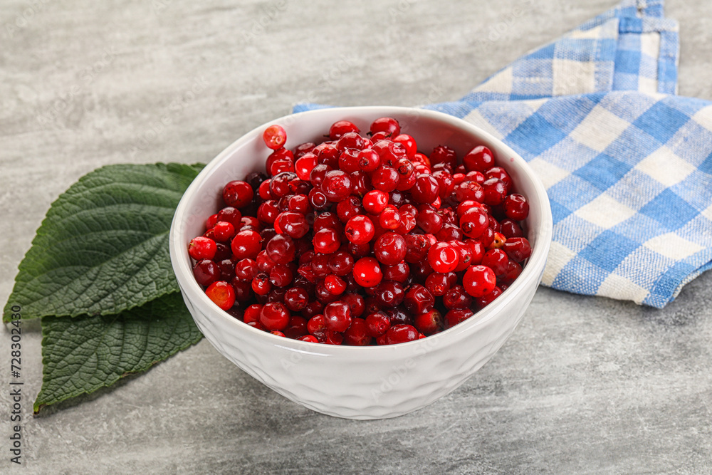 Ripe sweet wild organic cowberry Ripe sweet wild organic cowberry