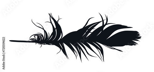 The bird feather silhouette. 