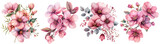 Exquisite watercolor flower arrangements featuring various shades of pink blooms and leaves , illustration PNG element cut out transparent isolated on white background ,PNG file.