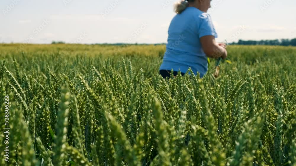 a farmer walks through a wheat field. Selective focus. a farmer walks through a wheat field. Selective focus.