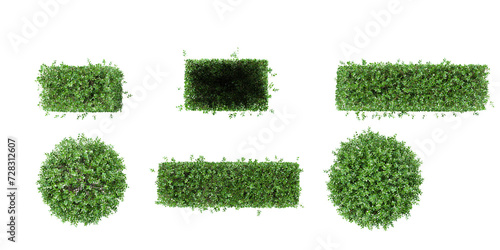 set of Garden privet trees on transparent background, 3D rendering,top view photo