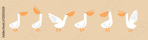 Cute funny pelicans set. Exotic water bird with big beak. Tropical fauna, ado...