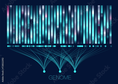 DNA genomic test, genome map.