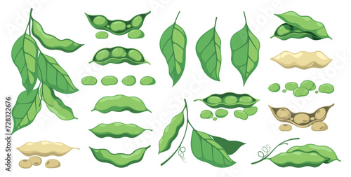 Soy plant. Vegetarian food, organic agriculture, vegan diet concept, fresh green soybean pod and leaves. Vector isolated set. Healthy raw ingredients, cartoon harvest of vegetables