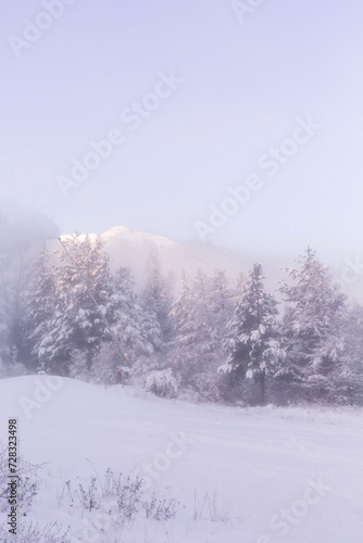 Bansko, Bulgaria resort panorama with snow cannon