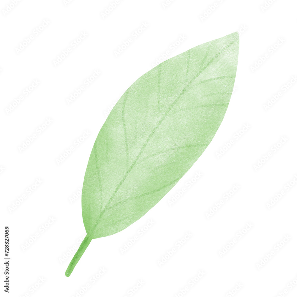 Obraz premium Sakura Flowers leaf 