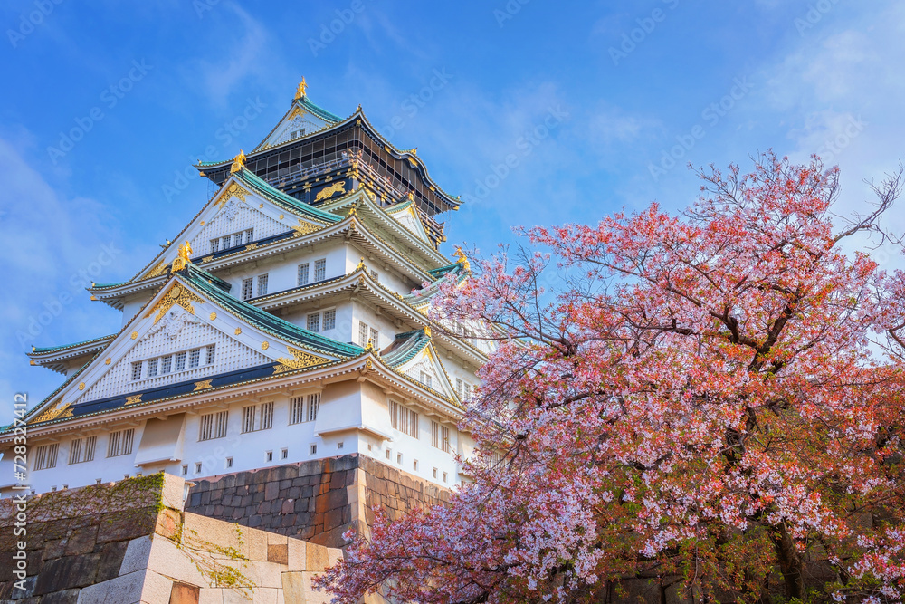 Naklejka premium Osaka Castle in Osaka, Japan is one of Osaka's most popular hanami spots during the cherry blossom season