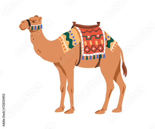 Arabian camel, desert domestic bedoin animal decorated with textile saddle. Arabic mammal profile, standing with traditional fabric decor on hump. Flat vector illustration isolated on white background