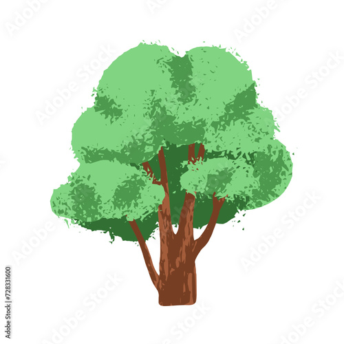 Spring tree  forest plant. Deciduous wood vegetation  summer leaf lush crown on branches  trunk. Abstract botanical flat vector illustration isolated on white background