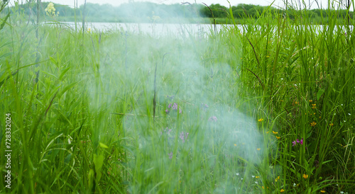 Smoke in the grass ( too much smoke not to be a fire) © max5128
