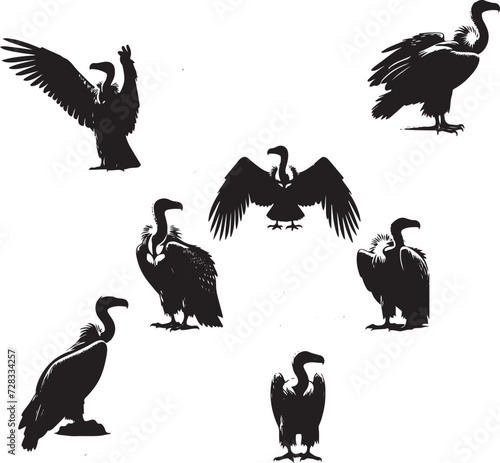 Vector Illustration of Vulture Silhouette Set