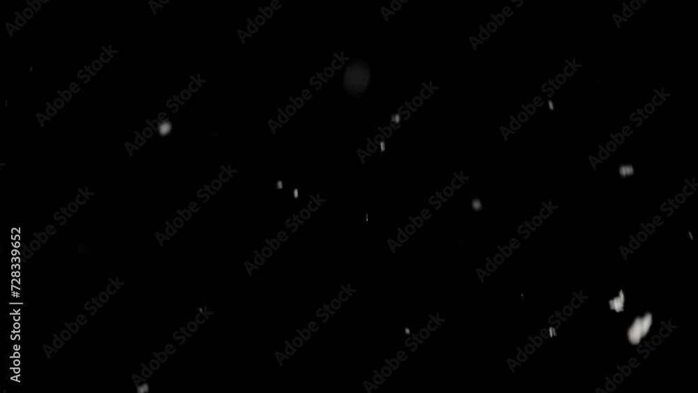 Snowfall On A Captivating Winter Night Snowfall On A Captivating Winter Night