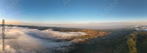 Aerial Drone Shot of mist in Valley with sunset and view of coastal town and trees and buildings early morning 