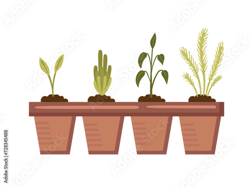 Seedlings for growing plants in peat cups. Vector illustration in cartoon flat style. Growing seedlings for harvest