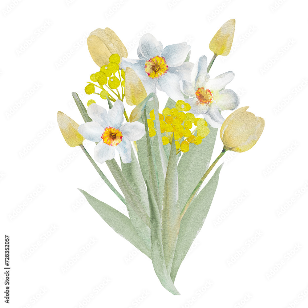 Fototapeta premium Bouquet of daffodils. Watercolor spring floral illustration, hand drawn. Easter, Valentine, wedding invitation.