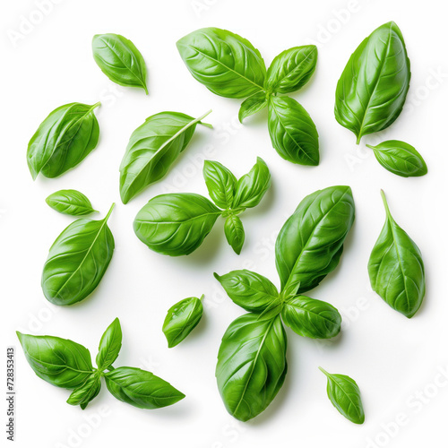 Top view of fresh green basil leaves scattered artistically on a clean white background, highlighting their vibrant color and detailed texture.