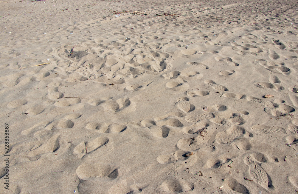 footprints in the sand footprints in the sand