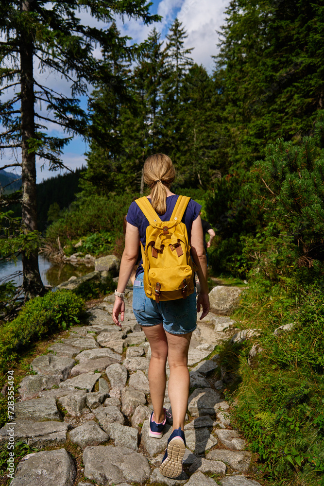 Back view of woman hiking in mountains with backpack. Female traveler walking in forest. Traveling in national park. Active recreation