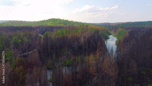 Moving shot over river running through dense green forest on a cloudy day.