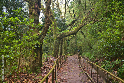 Madeira  Portugal - January 2024  Parque Florestal das Queimadas