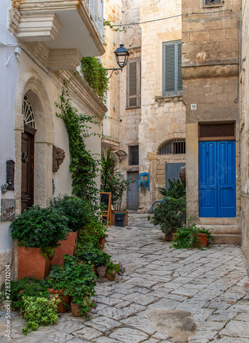 Fototapeta Naklejka Na Ścianę i Meble -  Polignano a Mare, Italy - one of the most beautiful cities on the Adriatic Sea, Polignano a Mare is a main landmark in Apulia. Here in particular its narrow alleyways 