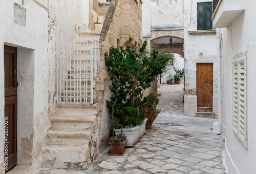 Polignano a Mare, Italy - one of the most beautiful cities on the Adriatic Sea, Polignano a Mare is a main landmark in Apulia. Here in particular its narrow alleyways  © SirioCarnevalino