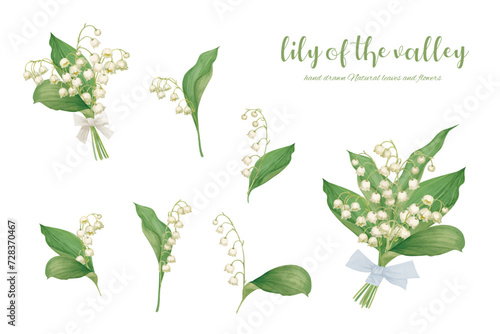 水彩手描きのスズランのイラスト素材