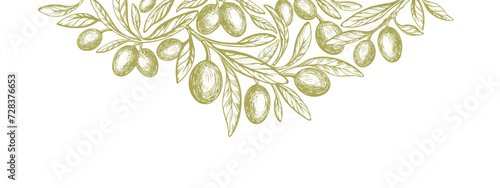 Olive template. Vector hand drawn tree, oil fruit