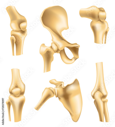 Human joints vector icons for orthopedics and surgery medical design. Vector isolated icons of leg knee or arm and hand joints with cartilage synovial fluid for orthopedics treatment medicine