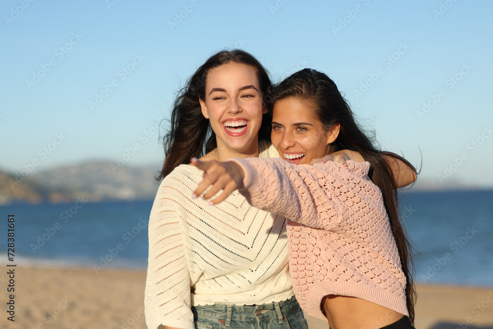 Two funny friends pointing away on the beach Two funny friends pointing away on the beach