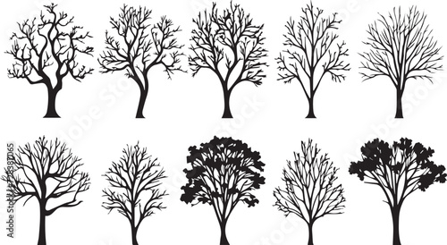 Set Trees. Hand drawn vector illustration 