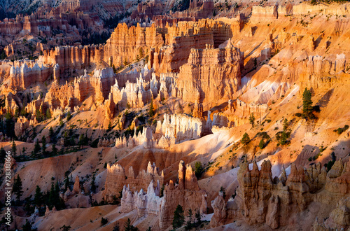 view to Bryce Canyon in afternoon light