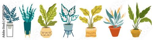Urban jungle, trendy home decor with plants, cacti, tropical leaves in stylish planters and pots. Vector hand draw illustration