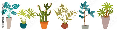 Urban jungle, trendy home decor with plants, cacti, tropical leaves in stylish planters and pots. Vector hand draw illustration