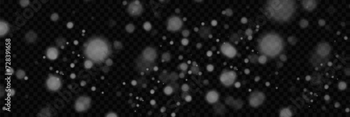 
Sparkling magical dust particles. White sparkles sparkle with a special lighting effect.