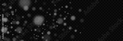 
Sparkling magical dust particles. White sparkles sparkle with a special lighting effect.