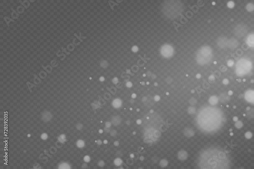 
Sparkling magical dust particles. White sparkles sparkle with a special lighting effect.