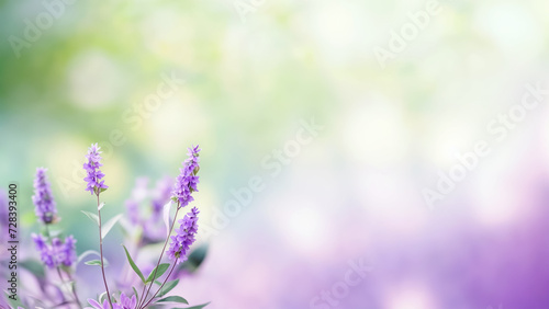 A close-up of lavender flowers with a blurred background. The flowers have a purple hue and are surrounded by greenery