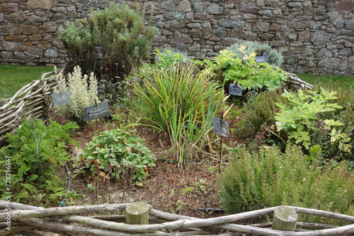 Carré de potager 2 - Carré de jardin - herbes aromatiques
