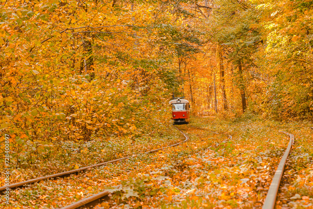 Naklejka premium Autumn forest through which the tram travels, Kyiv and rails