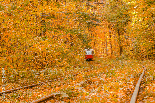Autumn forest through which the tram travels  Kyiv and rails